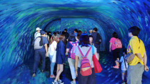 宜蘭 3D海底隧道梅花湖一日遊
