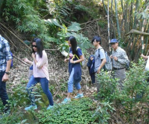 【活動】青年聯誼–靈鷲山半日遊活動人數不足另行安排通知